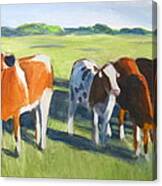 Happy Cows Canvas Print