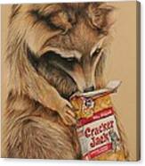 Cracker Jack Bandit Canvas Print