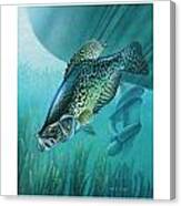 Crappie And Boat Canvas Print