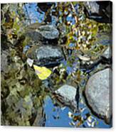 Creek Bed Canvas Print