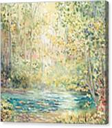 Creek Walk Canvas Print