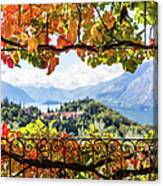 Creeper In Autumn Canvas Print