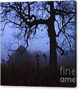 Creepy Tree Photograph by Jacqueline Athmann | Fine Art America