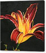 Crimson Lily Canvas Print