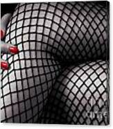 Crossed Sexy Woman Legs In Fishnet Stockings Canvas Print