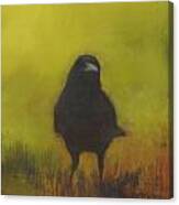 Crow 13 Canvas Print