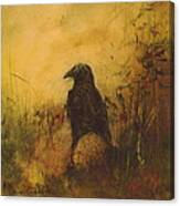 Crow 7 Canvas Print