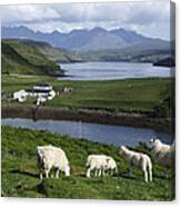 Cuillin Mountains - Isle Of Skye Canvas Print