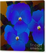 Curious Pansies Canvas Print