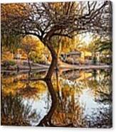 Curved Reflection Canvas Print