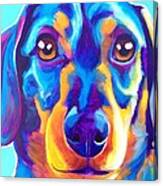 Dachshund - Oscar Canvas Print