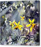 Daffodils Of Hope Canvas Print
