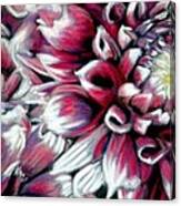 Dahlias In Pastel Canvas Print