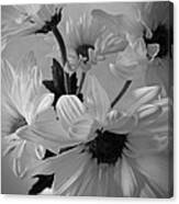 Daisies I Still Life Flower Art Poster Canvas Print
