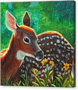 Daisy Deer Canvas Print