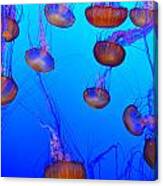 Dance Of The Jellyfish Canvas Print