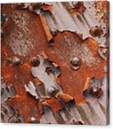 Dance Of The Rust Canvas Print