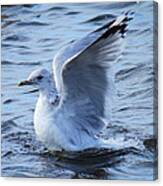 Dance On The Ocean Canvas Print