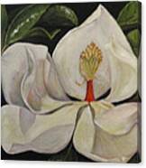 Dancing Magnolia Canvas Print