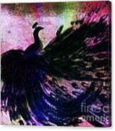 Dancing Peacock Rainbow Canvas Print