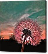 Dandelion At Sunset Canvas Print