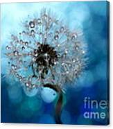 Dandelion Whisper Canvas Print