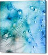 Winter - Dandelion With Water Droplets Abstract Canvas Print