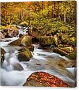 Dardagna River Canvas Print