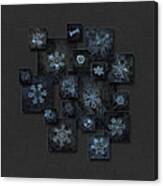 Snowflake Collage - Dark Crystals 2012-2014 Canvas Print