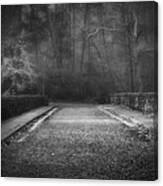 Dark Path Canvas Print