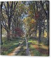 Daviess County Lane Canvas Print