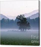 Dawn In The Mountains Canvas Print