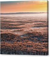 Dawn Canvas Print