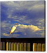 Daytona Beach Rail Bird Sun Glow Pier Canvas Print