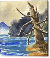 Dead Tree By The Lake Canvas Print