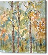 Deep Woods Waskesiu Canvas Print