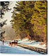 Deer Crossing Canvas Print