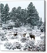 Deer In A Snow Storm Canvas Print