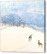 Demure Deer Canvas Print