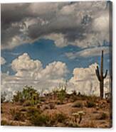 Desert Clouds Canvas Print