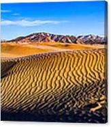 Desert Lines Canvas Print