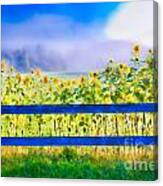 Digitally Enhanced Image Of Sunflowers Stowe Vermont Usa Canvas Print
