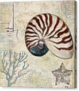 Discovery Shell I Canvas Print