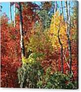 Dixie Autumn Canvas Print