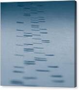 Dna Sequencing Canvas Print