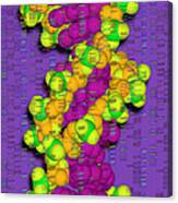 Dna With Autoradiograph Canvas Print
