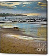 Dog Day Afternoon Canvas Print