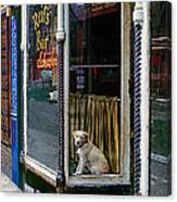 Doggy In The Window Version - 4 Canvas Print