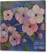 Dogwood Blossoms On Ultramarine Blue Canvas Print