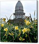 Dome Through The Daffodils Canvas Print